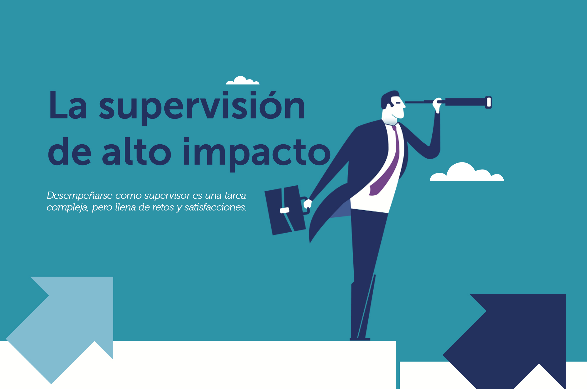La Supervisión de Alto Impacto